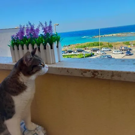 Bilocale Punta Rosa - Fronte