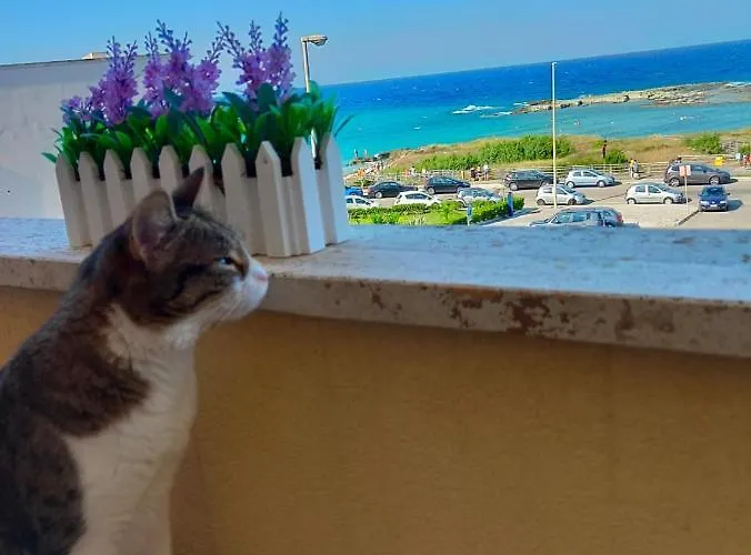 Bilocale Punta Rosa - Fronte